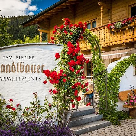 Appartments Jandlbauer Ваграйн Экстерьер фото
